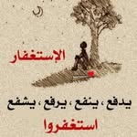 Samia A. Shoukry - @samiaameen88 - Instagram