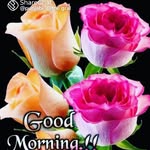 Samia Singh - @love.preet4240 - Instagram