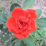 Samia Singh Z - @zsamsingh - Instagram