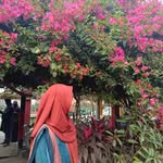 _sizzle_ - @samia_sultana_0 - Instagram