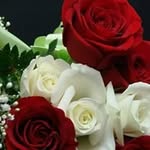 Samia Syed - @samia.syed.33 - Instagram