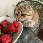 Samia wardea - @samia_wardea - Instagram