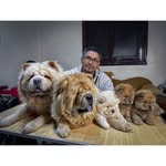 Sameh Ali - @samih.ali.940 - Instagram