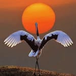Samina Khan - @samina.khan.marwat79 - Instagram