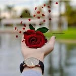 Yasmeen Nazir - @samina_nazir.1 - Instagram