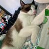 Samina Patel185 - @saminampatel - TikTok