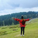 Samina Patel - @sameena_mhendi_artist - Instagram