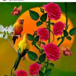 samir agarwal - @samiragarwal84 - Instagram