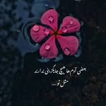 Samir Azimi - @samirazimi74 - Instagram