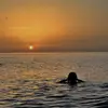 farah_m.samir2 - @farah_m.samir2 - TikTok