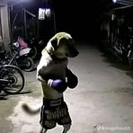 Samir George - Facebook