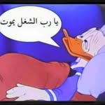 Samir Ibraheem - @samir.ibraheem.7 - Instagram