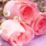 Samir Mathur - @samir.mathur.395 - Instagram