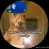 samirsanchez387 - @samirsanchez387 - TikTok