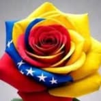 Sammar Sayegh - Facebook