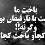Samir Wafa - @wafasamir005 - Instagram