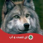 Samir Younes - @samir.younes.355 - Instagram