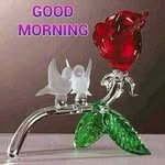 Samir Rasiklal Zaveri - @samirrasiklalzaveri - Instagram