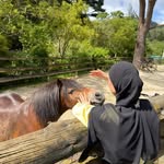 Samira Al-Yassin - @samira_alyassin - Instagram