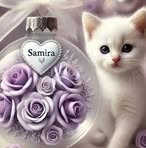 Samira Daniel - Facebook
