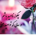 samira_darwishi - @samira_darwishi - Instagram