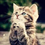 Samira Dean - Facebook