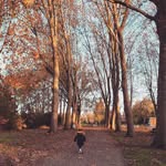 Samira Dine - @samiradean - Instagram