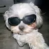 Samira Delgado González - @samira.delgado.go - TikTok