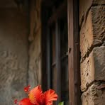 Samira EL - Facebook