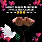 Samira Emam - Facebook