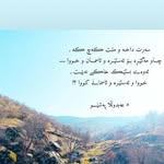 samira.farahmand7489 - @samira.farahmand7489 - Instagram