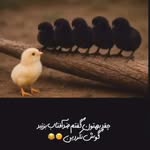 مشاور و دستیار پزشک پوست و مو - @samirafarajzadehh - Instagram