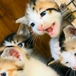 Samira_faraj - @salmafaraj783 - Instagram