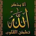 Samira Farid - @samira.farid.31 - Instagram