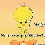 Samir Agarzayev - @samiragarzayev - Instagram