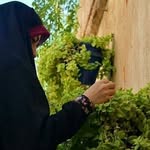 🌼samira hadiani🌼 - @samira_hadiani - Instagram