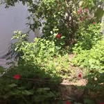 Samira Hamdan - @samira_hamdan - Instagram