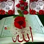 Samira Hamid Mira - @samirahamidmira - Instagram