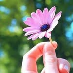 Samira Hamidzada 10 - @samirahamidzada - Instagram