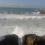 Samira Hartouf - @samirahartouf - Instagram