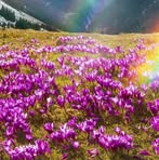 Samira Hasanovic - Facebook