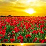 Samira Ismail - @samiraismail2813 - Instagram