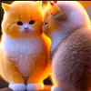 samiira - @samirajaamac - TikTok