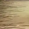 Samira Jain - @samirajain_1234 - TikTok
