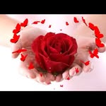 samira_jamali1363 - @samira_jamali1363 - Instagram