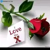 tatuubarana12 - @samiraajamal - TikTok