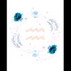 Samira - @samira._james - TikTok