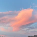 Samira A. Jones - @samira_j1s - Instagram