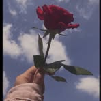 Samira Kadri - Facebook