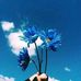 Samira Kalla - Facebook